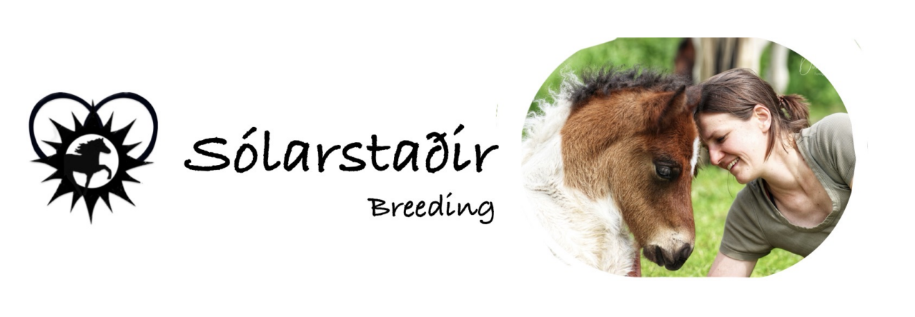 Solarstadir-Breeding